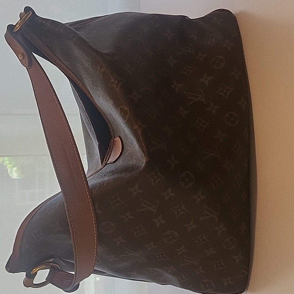 Host Pick ✨️ Louis Vuitton Delightful PM Purse - Picture 2 of 13